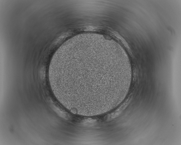 X0000110940257200907171614