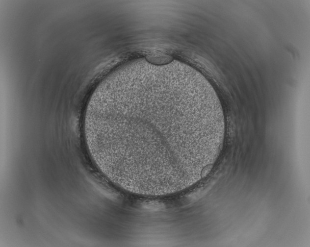 X0000110940258200907171614