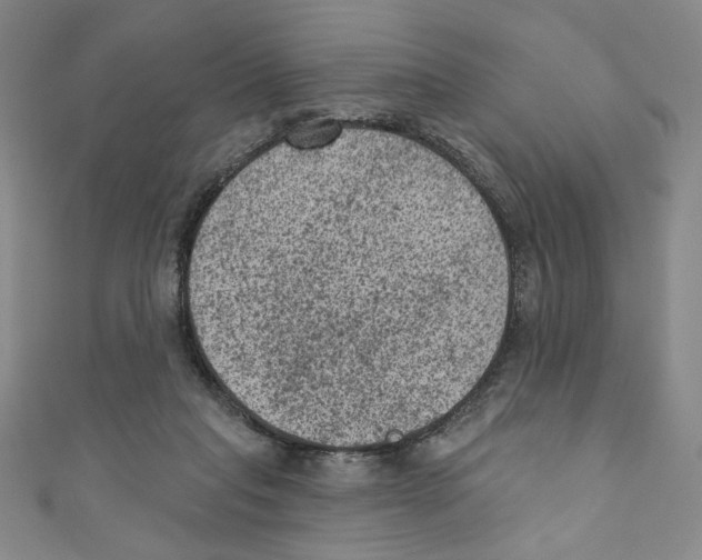 X0000110940261200907171614