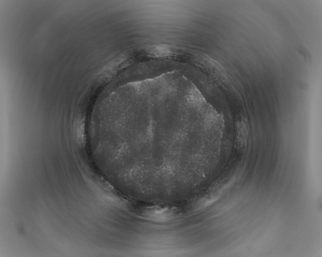 X0000110940267200907171614