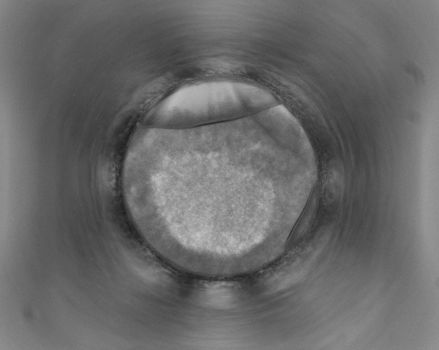 X0000110940268200907171614