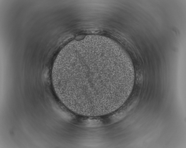 X0000110940270200907171614