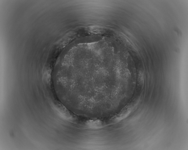 X0000110940271200907171614