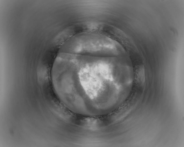 X0000110940272200907171614