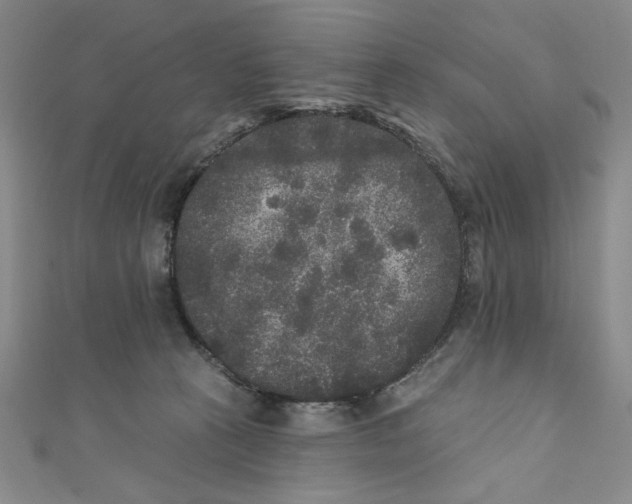 X0000110940273200907171614