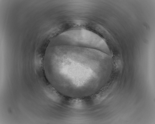 X0000110940276200907171614