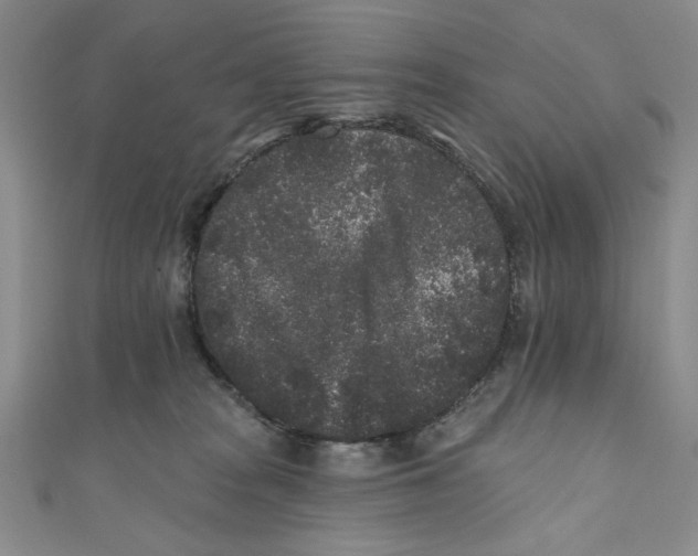 X0000110940277200907171614