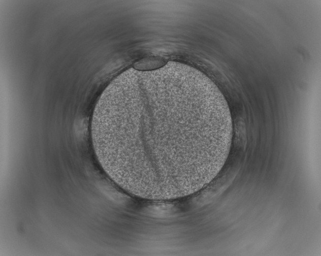 X0000110940278200907171614