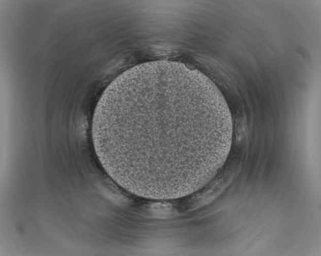 X0000110940279200907171614