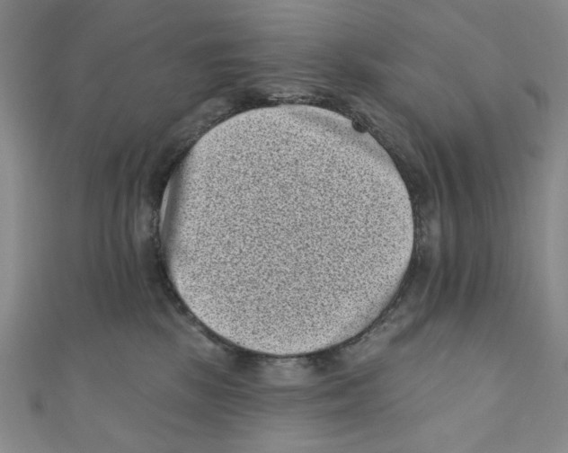 X0000110940281200907171614