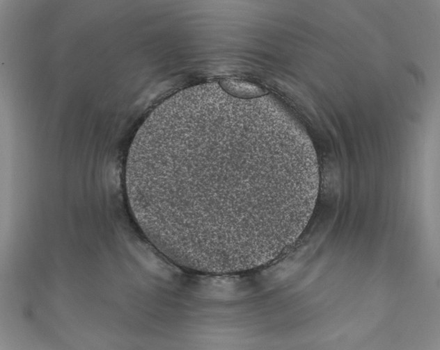 X0000110940282200907171614