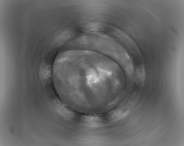 X0000110940284200907171614