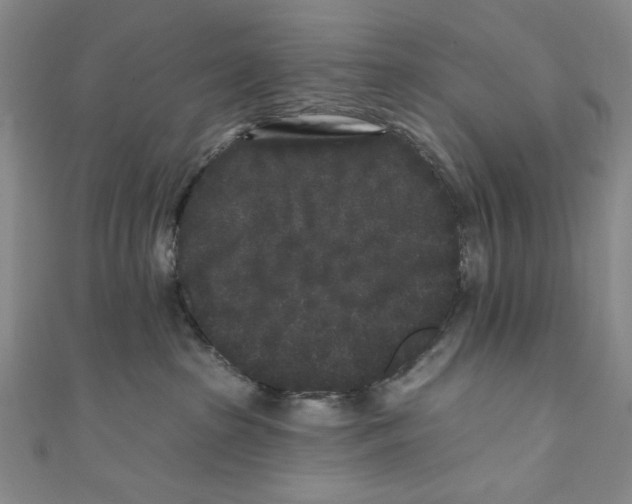 X0000110940285200907171614