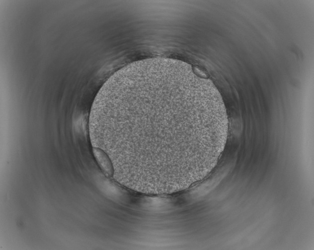 X0000110940286200907171614