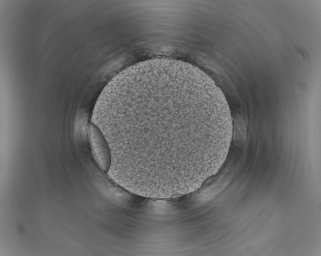 X0000110940287200907171614