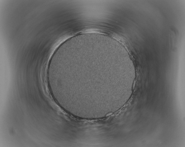 X0000110940289200907171614