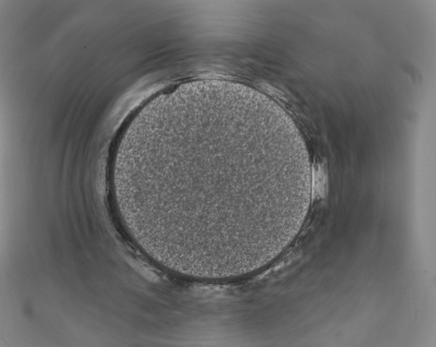 X0000110940291200907171613