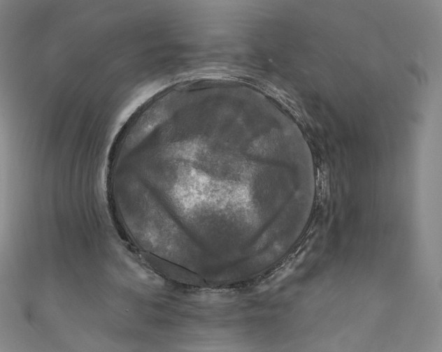 X0000110940292200907171613