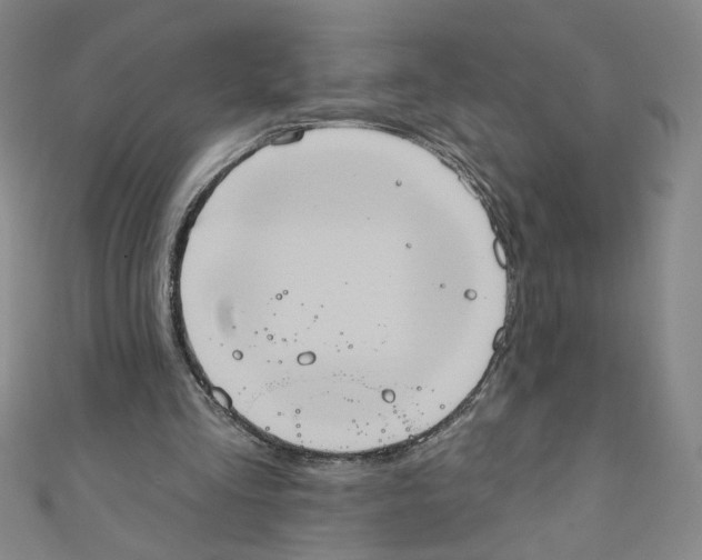 X0000110940293200907171613