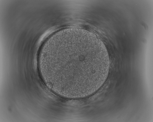 X0000110940294200907171613