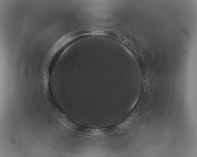 X0000110940295200907171613