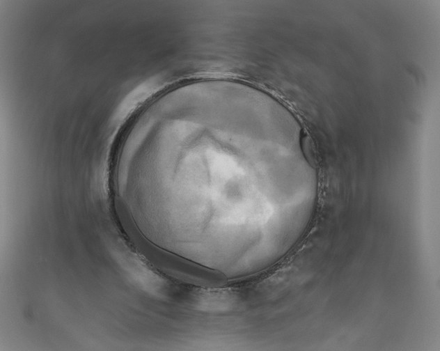 X0000110940296200907171613