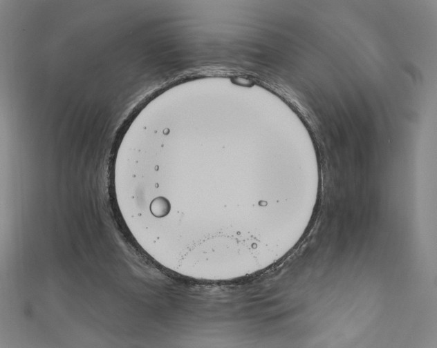 X0000110940297200907171613