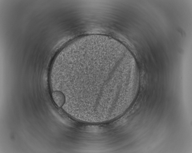 X0000110940298200907171613