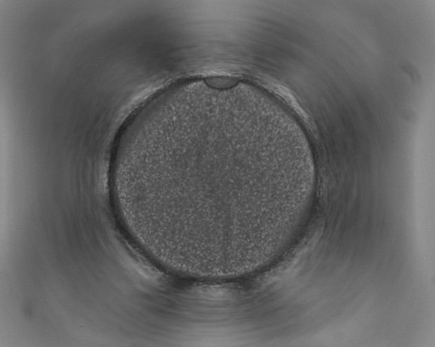 X0000110940299200907171613