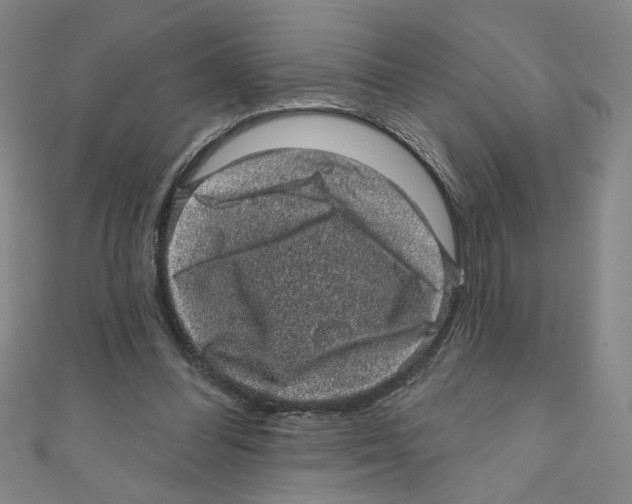 X0000110940300200907171613