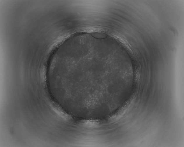 X0000110940303200907171613