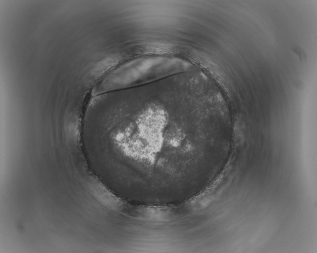 X0000110940305200907171613