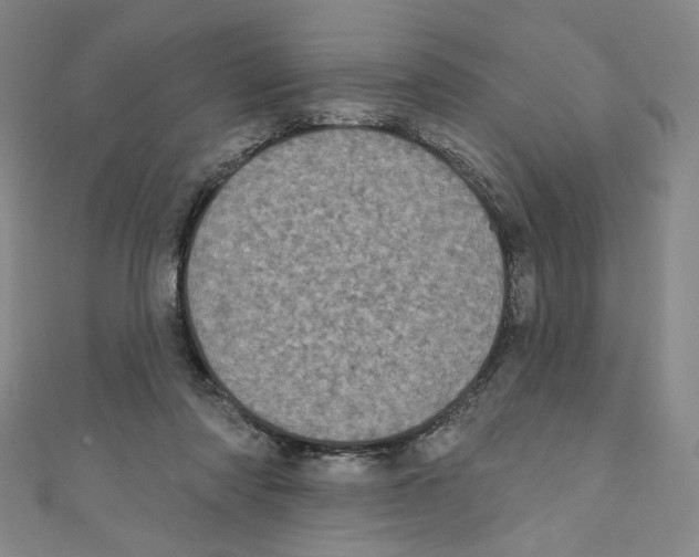 X0000110940310200907171613