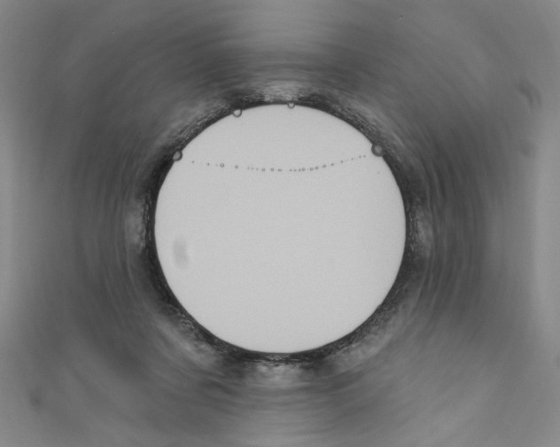 X0000110940311200907171613