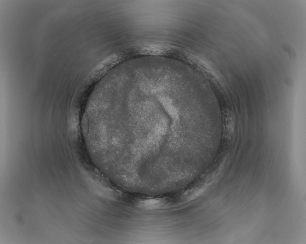 X0000110940312200907171613