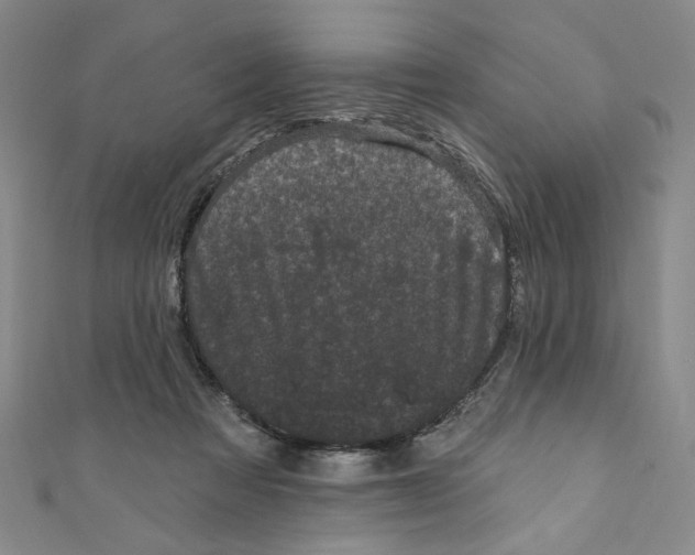 X0000110940313200907171613