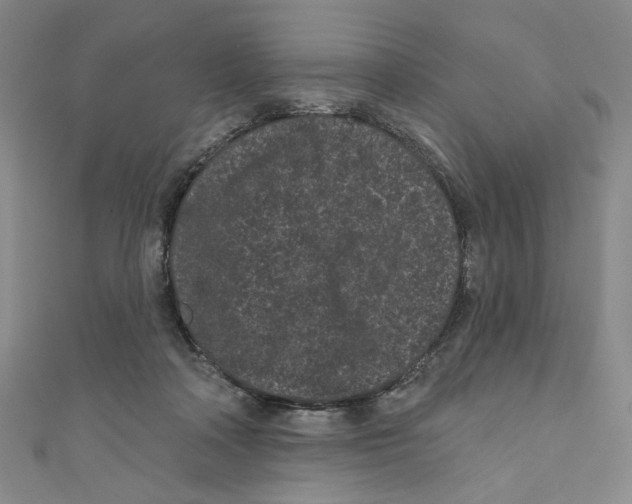 X0000110940314200907171613