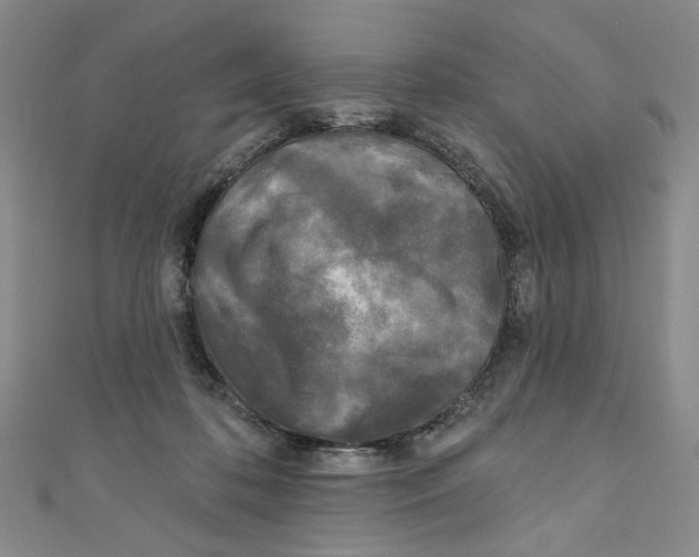 X0000110940316200907171613