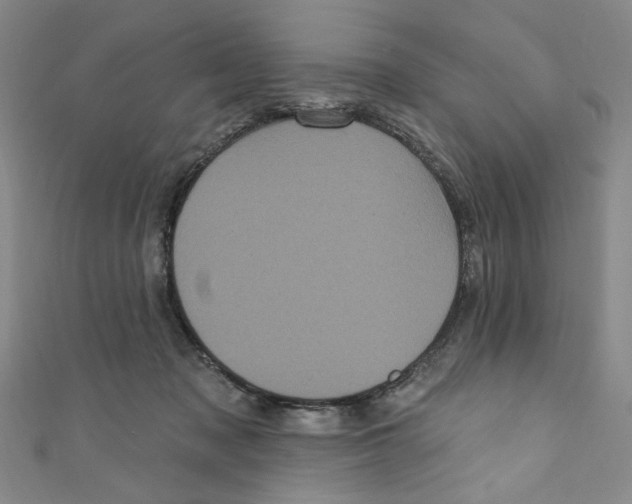 X0000110940317200907171613
