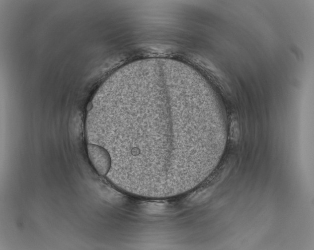 X0000110940318200907171613