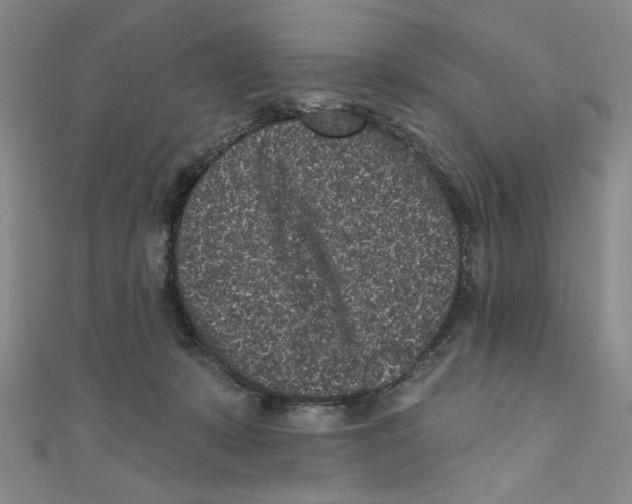 X0000110940319200907171613