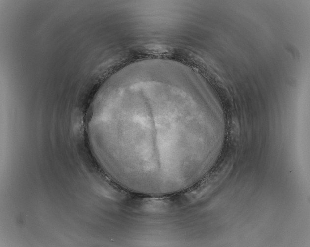 X0000110940320200907171613