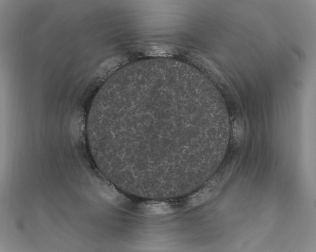 X0000110940322200907171613