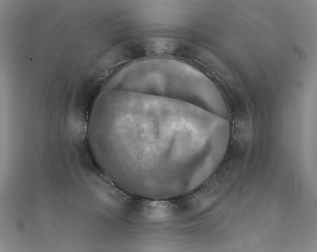 X0000110940324200907171613