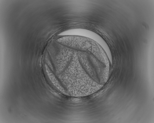 X0000110940325200907171613