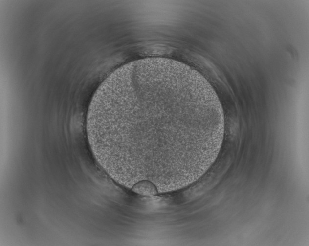X0000110940326200907171613