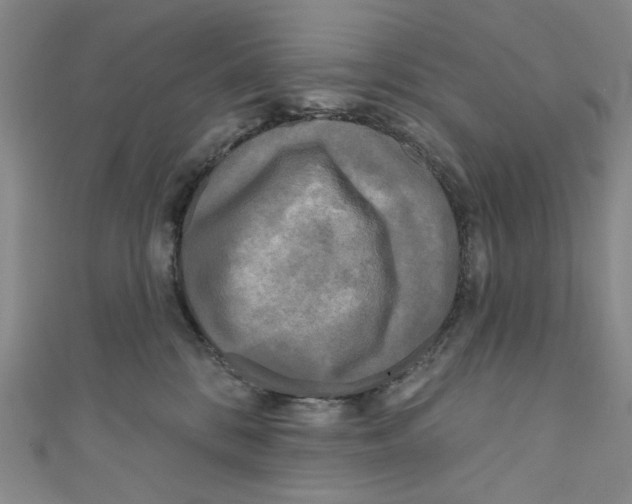 X0000110940328200907171613