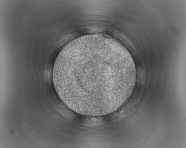 X0000110940329200907171613