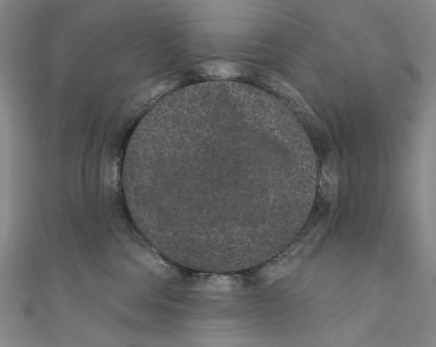 X0000110940330200907171613