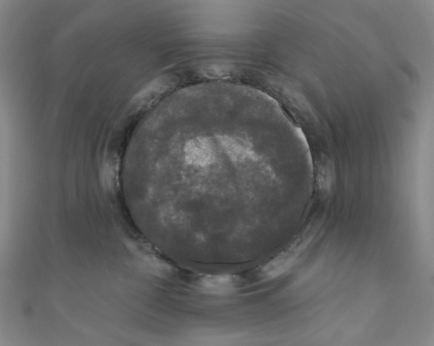 X0000110940332200907171613